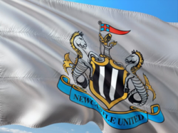 The Future Of Newcastle United: Could 2020 See New Owners For The Club?