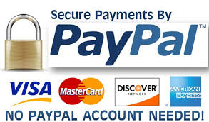 PayPal Payment Security