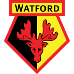 Watford Team